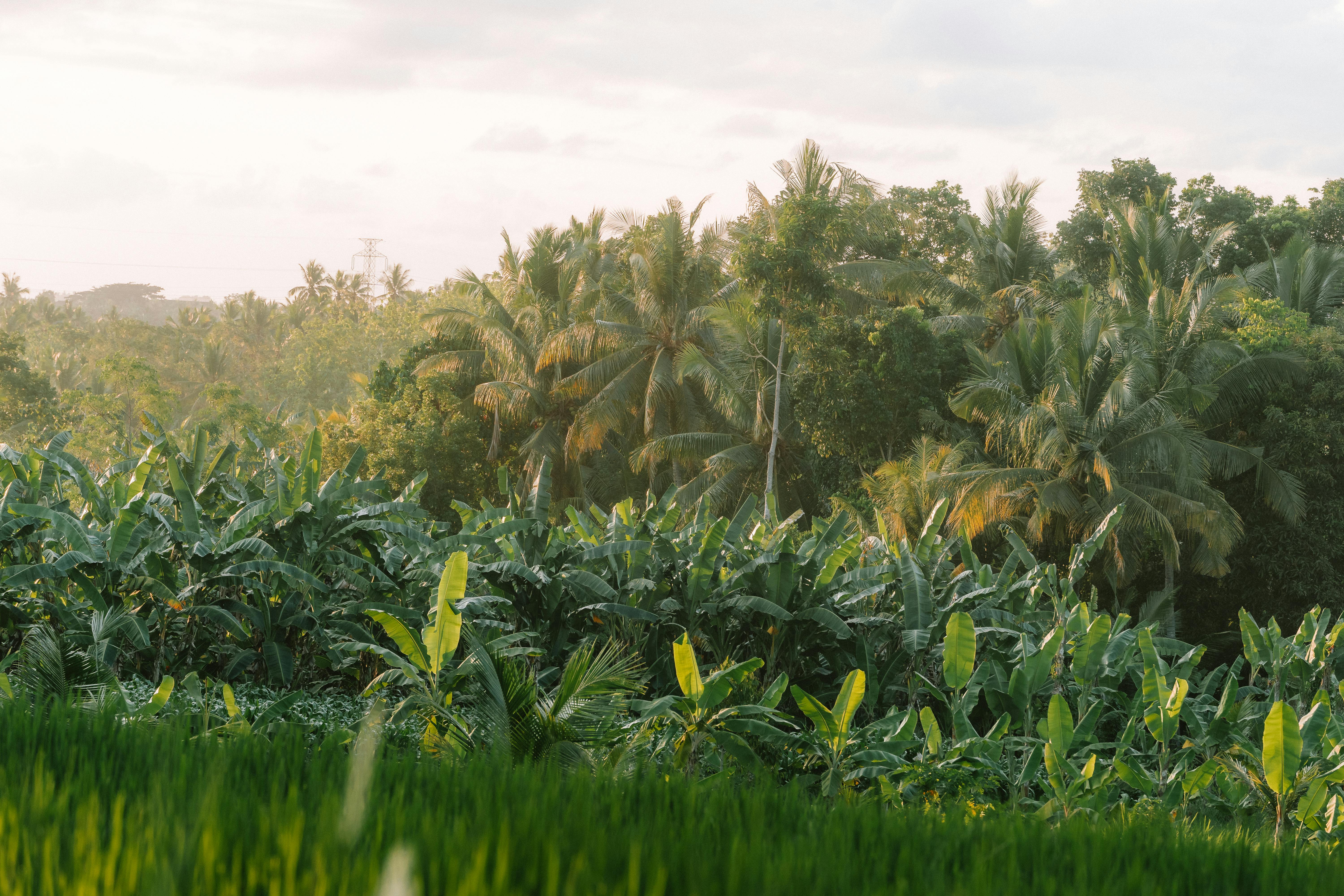 Alo AgriTech Empowering Farmers